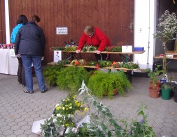 Pflanzlmarkt 2011