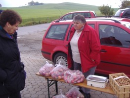 Pflanzlmarkt 2011
