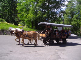 Jahresausflug 2012