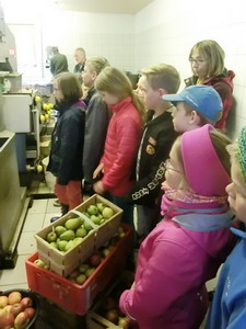 Besuch der Obstpresse in Gotzing