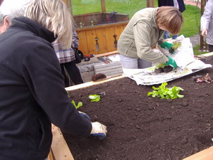 Wir bauen Hgelbeet