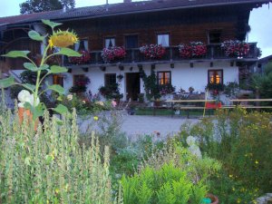 Kräuterbuschbinden bei Josefa Grundbacher
